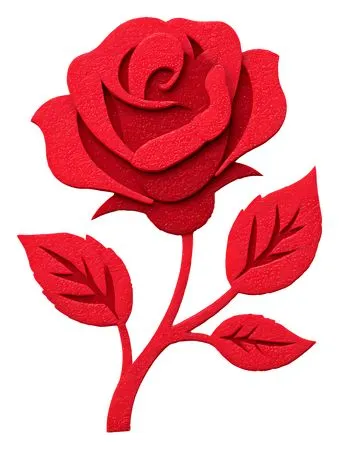 ������ɫõ�廨�廭PNG���ͼ