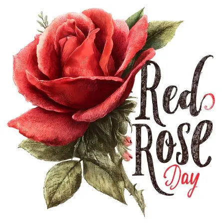 ���������ɫõ�廨����ףPNG���ͼ