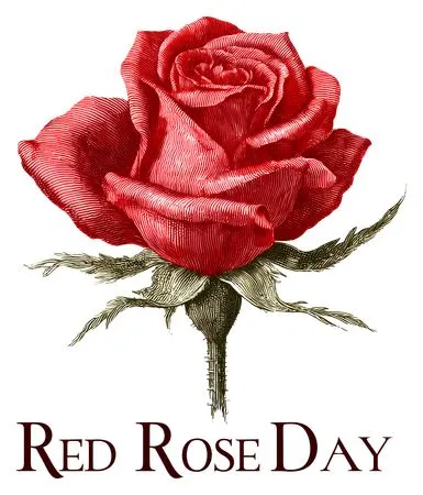 ��ɫõ�廨����ףPNG���ͼ