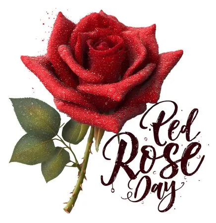 ��ɫõ�廨�պ�ɫõ�廨PNG���ͼ