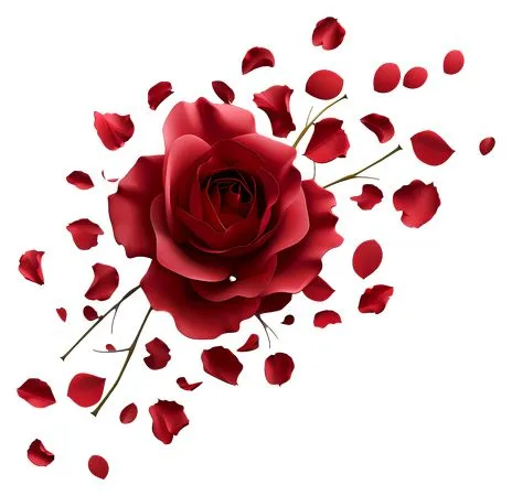 ��ɫõ�廨��Ʈ�仨��PNG���ͼ