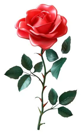 ��ɫõ�廨����ҶPNG���ͼ