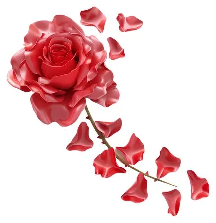 ��ɫõ�廨��Ʈ�仨��PNG���ͼ