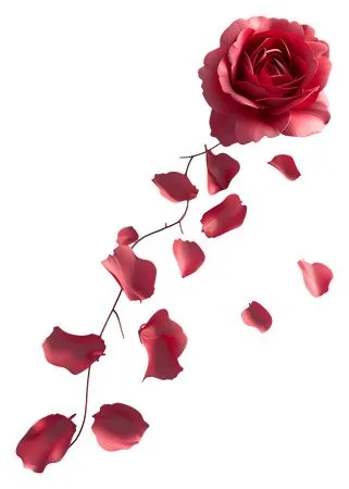 ��ɫõ�廨��Ʈ�仨��PNG���ͼ