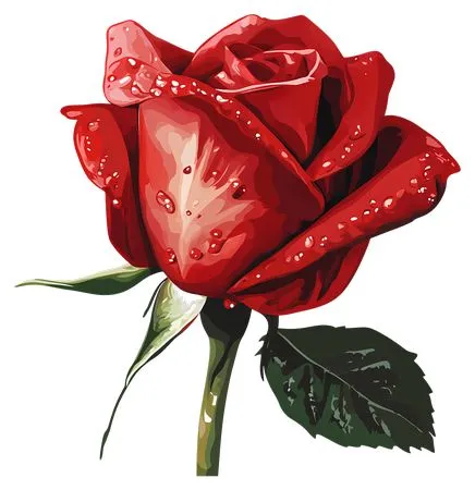 ������ɫõ�廨��¶��PNG���ͼ