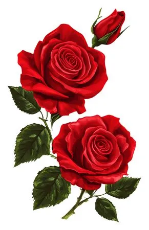 ������ɫõ�廨�ͻ���Ҷ��PNG���ͼ