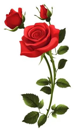 ������ɫõ�廨�ͻ���Ҷ��PNG���ͼ