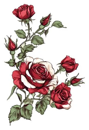 ��ɫõ�廨����ҶPNG���ͼ