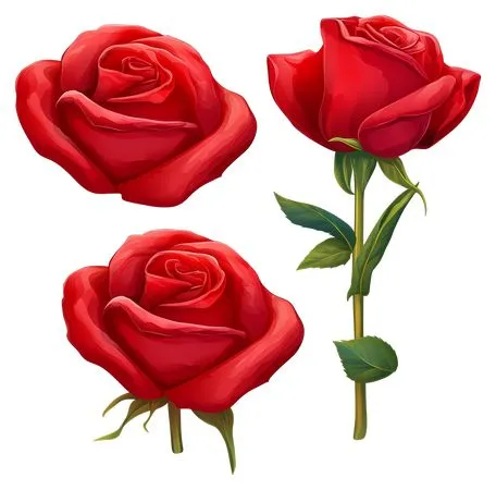 ������ɫõ�廨�ͻ���Ҷ��PNG���ͼ