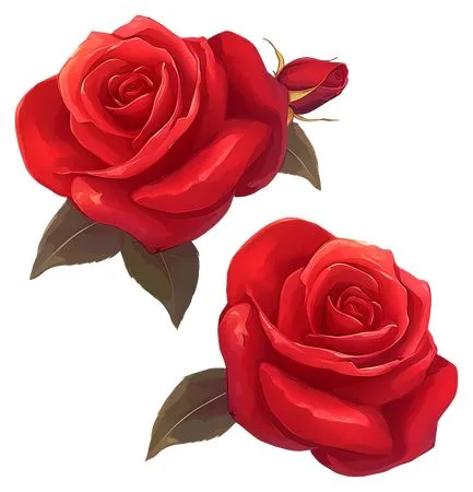 ������ɫõ�廨�ͻ���Ҷ��PNG���ͼ