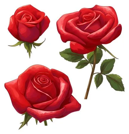 ������ɫõ�廨�ͻ���Ҷ��PNG���ͼ