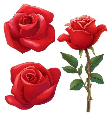 ������ɫõ�廨�ͻ���Ҷ��PNG���ͼ