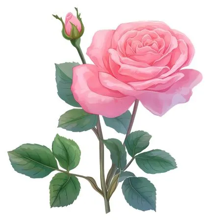 ��ɫõ�廨����ҶPNG���ͼ