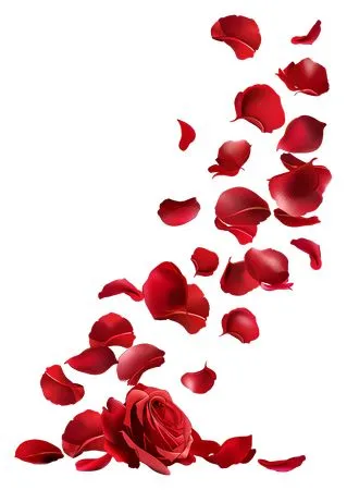 ��ɫõ�廨��Ʈ�仨��PNG���ͼ