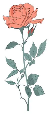 ��ɫõ�廨����ҶPNG���ͼ