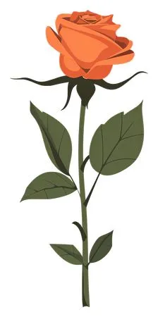 ��ɫõ�廨����ҶPNG���ͼ