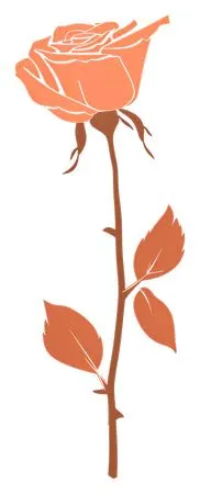 ��ɫõ�廨����ҶPNG���ͼ