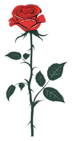 ��ɫõ�廨����ҶPNG���ͼ