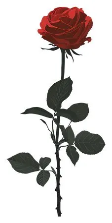 ������ɫõ�廨�廭PNG���ͼ