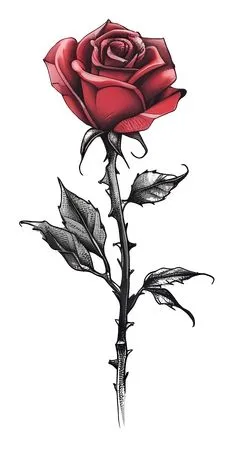 ��ɫõ�廨�ʹ̲廭PNG���ͼ