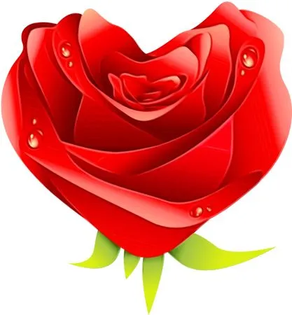 ��ɫõ�廨��������һ������PNG���ͼ