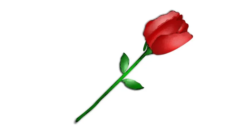 ���޺�ɫõ�廨�廭PNG���ͼ