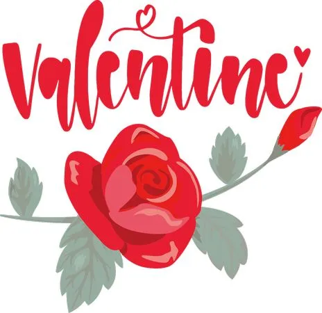 ���˽ں�ɫõ�廨PNG���ͼ