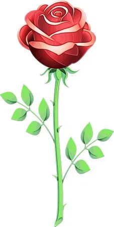 ���ź�ɫõ�廨����ҶPNG���ͼ