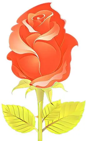 ���ź�ɫõ�廨��������PNG���ͼ