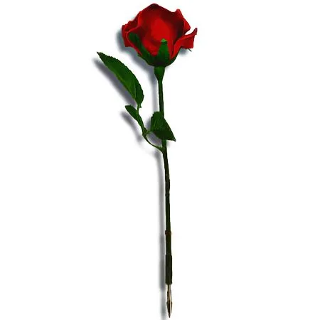 ������ɫõ�廨�廭PNG���ͼ