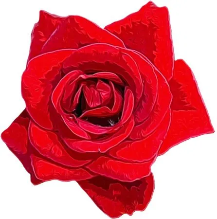 ������ɫõ�廨��PNG���ͼ