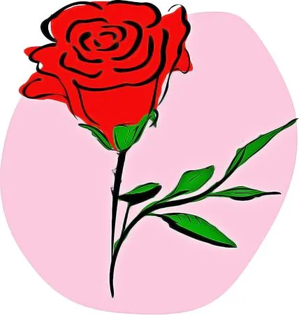 ������ɫõ�廨��дPNG���ͼ