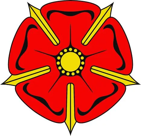 ��ɫõ�廨�廭PNG���ͼ