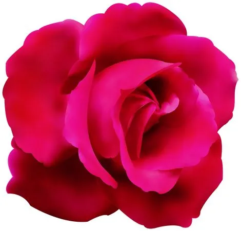 ���������ɫõ�廨��PNG���ͼ