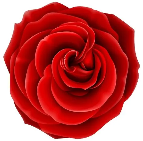 ������ɫõ�廨����ҶPNG���ͼ