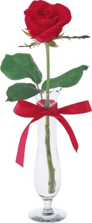 ������ɫõ�廨����ҶPNG���ͼ