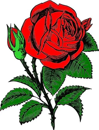 ��ƿ�еĵ����ɫõ�廨PNG���ͼ