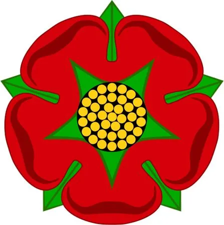 ��ɫõ�廨���̾��廭PNG���ͼ