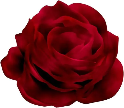 ������ɫõ�廨ʢ��PNG���ͼ