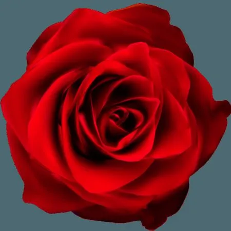 �����ɫõ�廨��ï����ҶPNG���ͼ