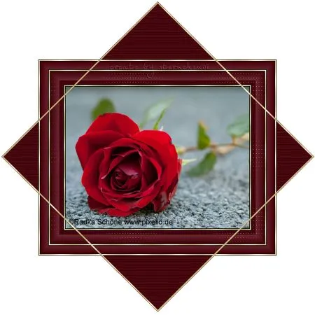 ο���ú�ɫõ�廨PNG���ͼ