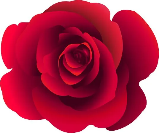 ������ɫõ�廨����ȻҶ��PNG���ͼ