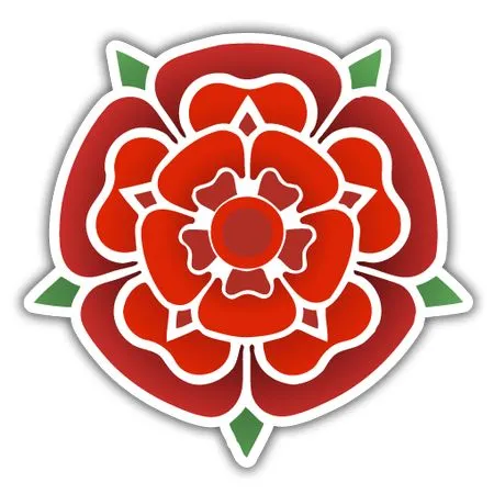 ��ɫõ�廨����˸ϸ��PNG���ͼ