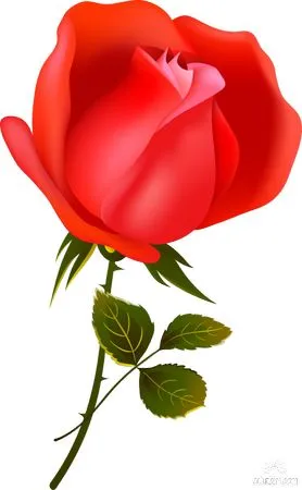 ��ɫõ�廨��Ҷ�Ӳ廭PNG���ͼ