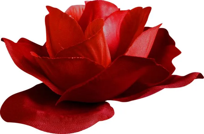 ��ɫõ�廨�ͻ�����ҶPNG���ͼ