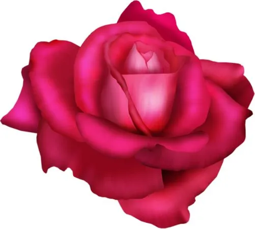 ������ɫõ�廨�ͻ���PNG���ͼ