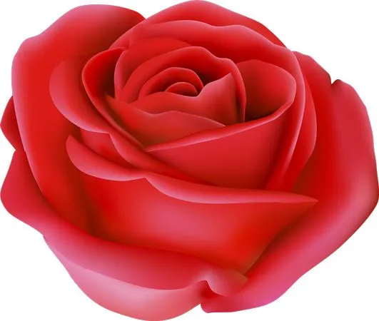 ���������ɫõ�廨PNG���ͼ