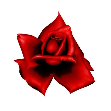дʵ��ɫõ�廨ʢ���廭PNG���ͼ