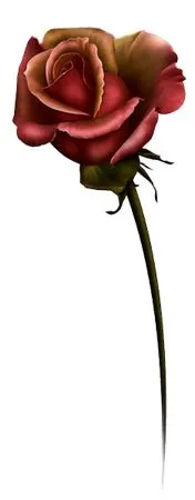 ������ɫõ�廨��PNG���ͼ