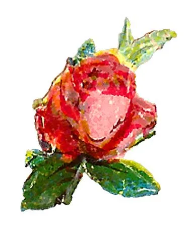 ������ɫõ�廨�廭PNG���ͼ